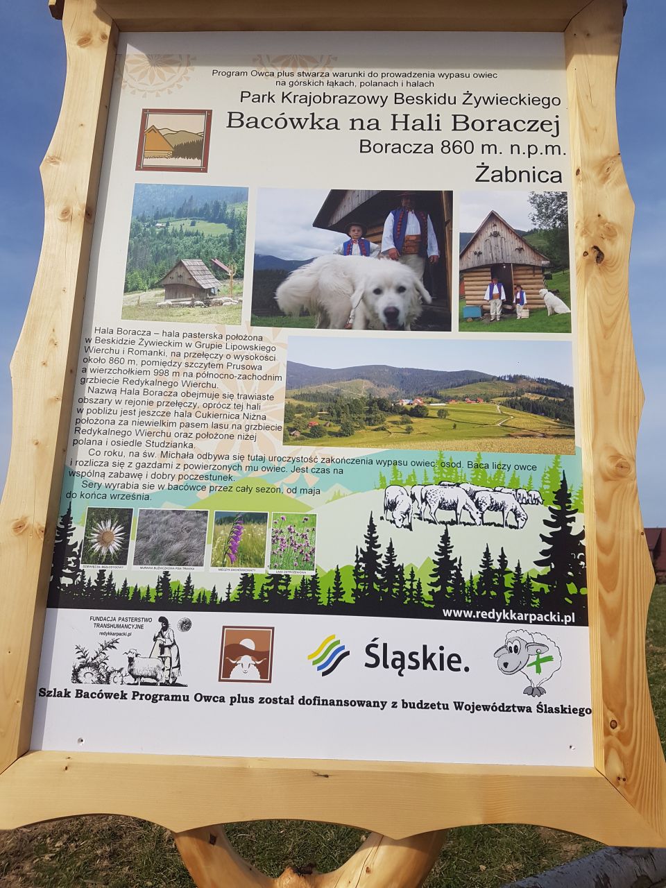 Хала Борача також є однією з найкращих відправних точок для навколишніх гірських хребтів